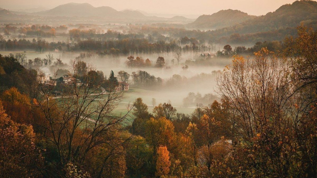 Fall in the Field: From Connecticut to the Cotswolds