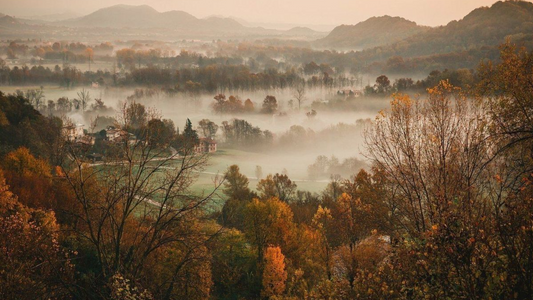 Fall in the Field: From Connecticut to the Cotswolds