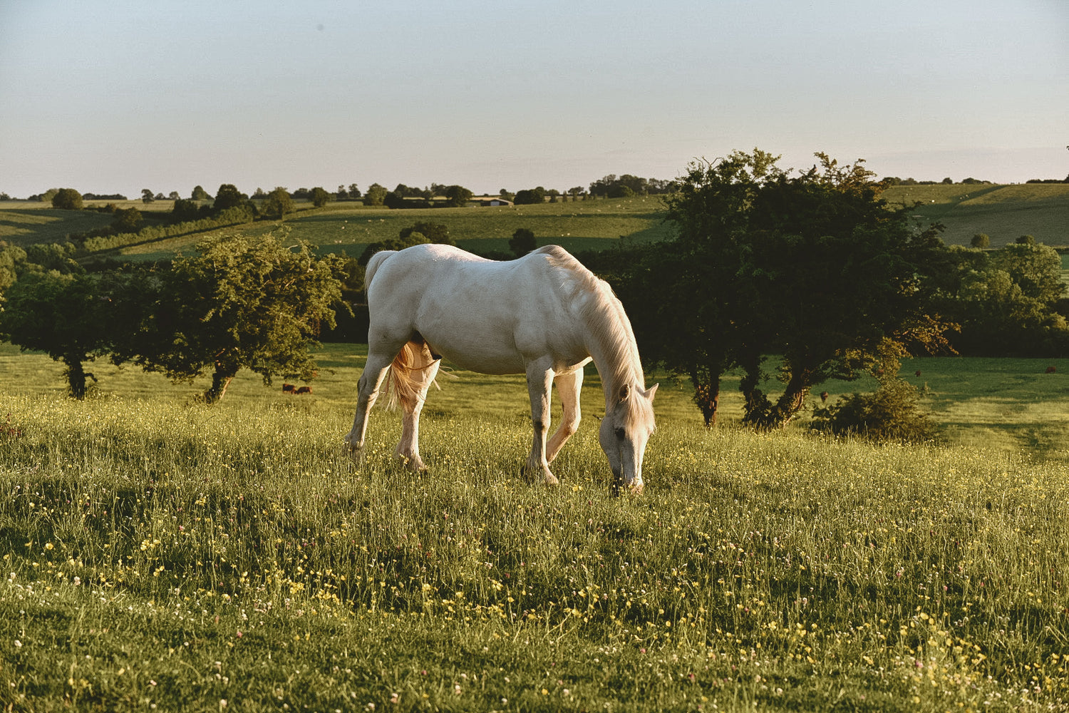 countryside view in Claydon, Oxfordshire, England, United Kingdom