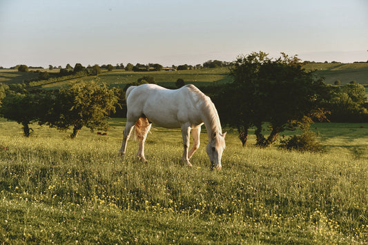 countryside view in Claydon, Oxfordshire, England, United Kingdom