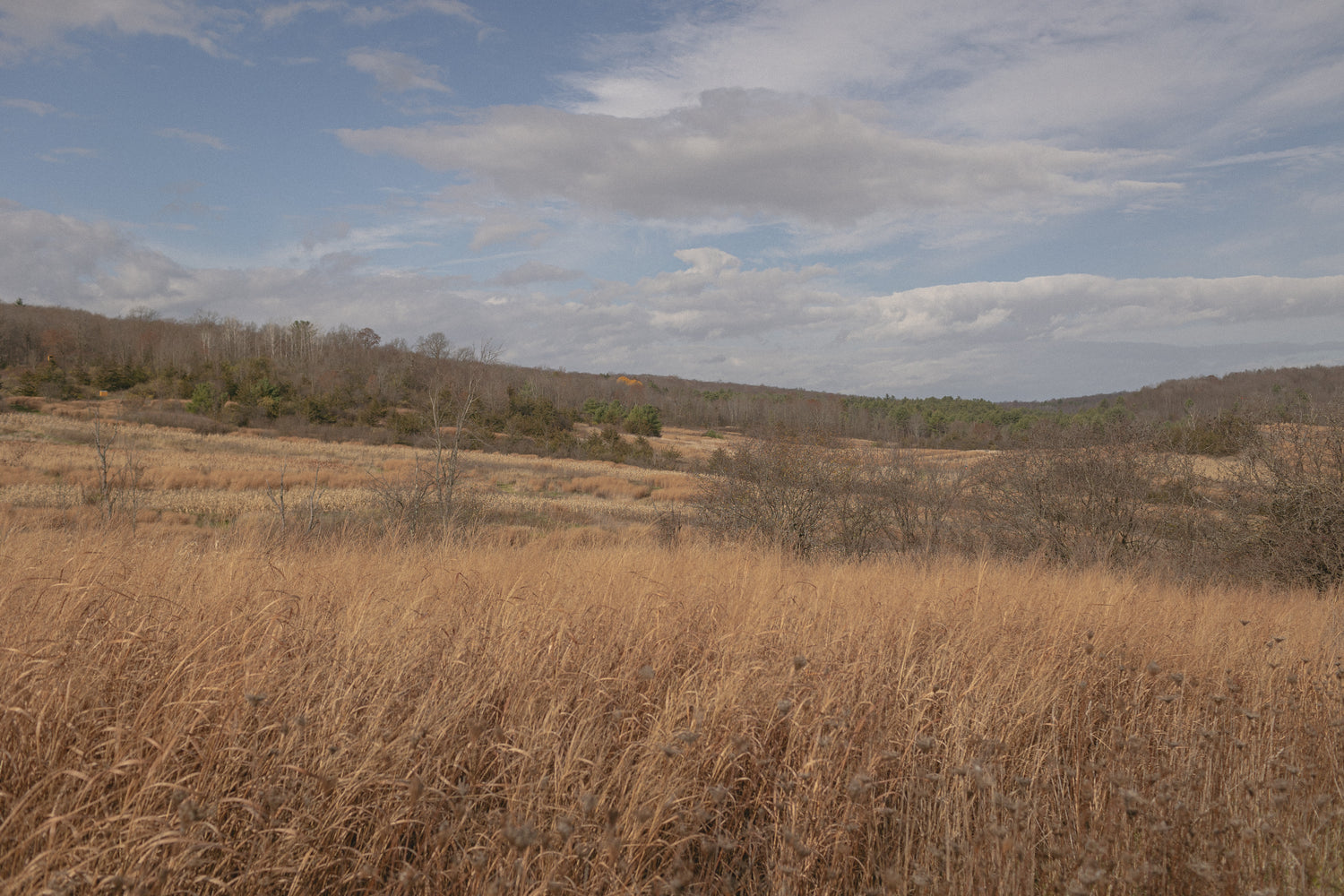 Women in fieldsports, gathered in camaraderie, dressed in Isabelle Hunter & Co's latest elegant, functional attire.